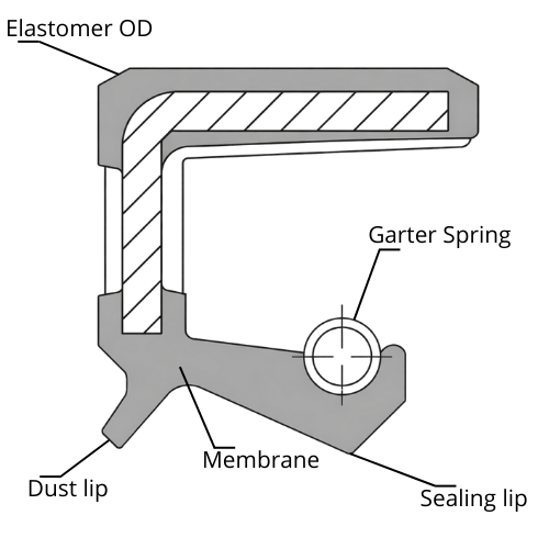 Oil Seal TC - Cross-section of a radial shaft seal TC